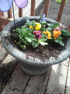 wiewiórcze wykopki :(