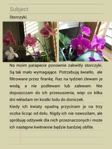 Storczyki blog_01